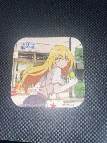 어느 지자체의 지역 진흥 쇼쿠호 미사키 코스터