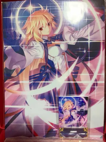 FGO 최종 재림전 아크에이드 아크릴 스탠드 클리어 파일