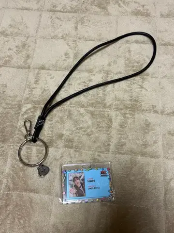 straykids 한 HAN TOYWORLD ID 카드패스 케이스