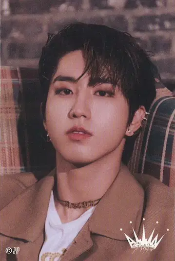 Stray Kids HAN ALL IN 온라인 복권 스티커 E상