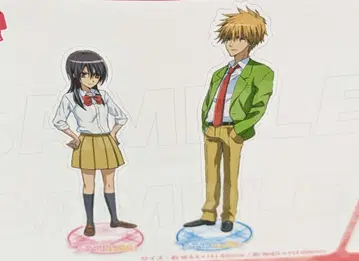 회장님은 메이드! 아크릴 스탠드 아이자와 미사키 우스이 타쿠미