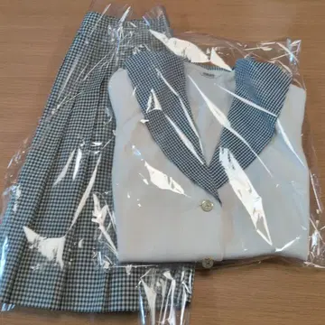 슈지츠 고등학교 모리 하나에