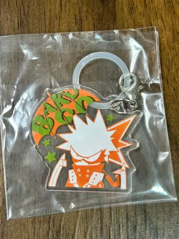 나의 히어로 아카데미아 엄브렐라 참 바쿠고 카츠키 히로아카