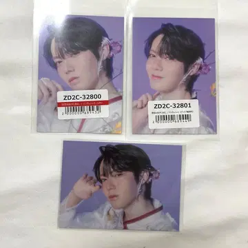 겐지부 문예 해체 신서 트레이딩 카드 코이즈미 히카루