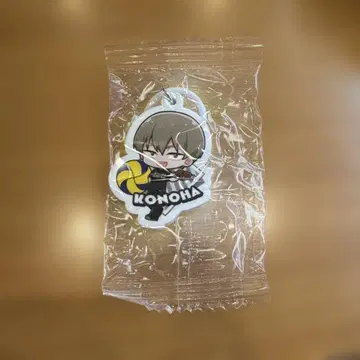 하이큐!! 코노하 아키노리 메지루시 참