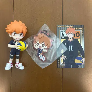 하이큐 히나타 쇼요 묶음 판매