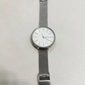 SKAGEN TAIQUBIA 손목시계