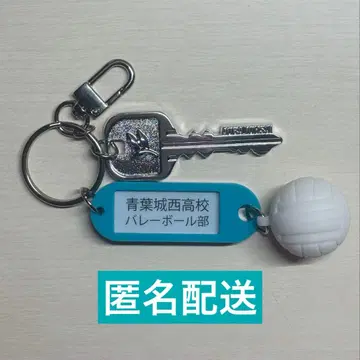 하이큐!! 트레이딩 고교명 포함 열쇠고리 참 키링 아오바죠사이 고교