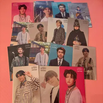 미세스 와카이 히로토 바벨 포토 카드 15장 세트