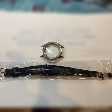 해밀턴 리코 1960년대 케이스와 벨트 4