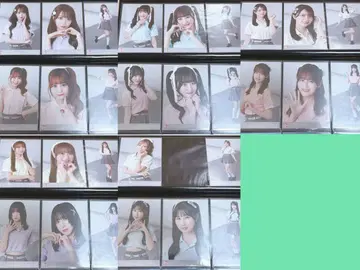 =LOVE 이코러브 브로마이드 피케 셔츠 세미 풀컴프 29종