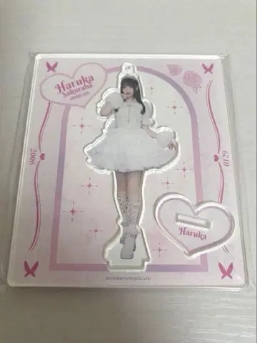 사쿠라바 하루카 생일 의상 2025 edition 아크릴 스탠드