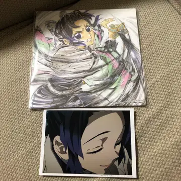 귀멸의 칼날 시노부 세트