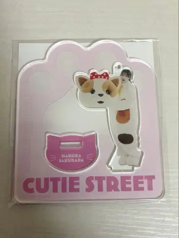 사쿠라바 하루카 멤버별 아크릴 스탠드 고양이 인형옷 비주얼 ver