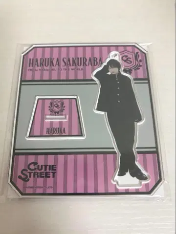 사쿠라바 하루카 멤버별 아크릴 스탠드 남장 비주얼 ver