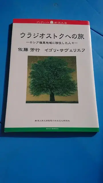 블라디보스토크로의 여행 러시아 극동 지역으로 이주한 사람들 L