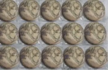 진격의 거인 WIT STUDIO 캔뱃지 한지 조에 15개