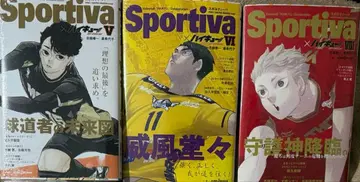 [슈링크 포함] 하이큐 소설판 3권 세트