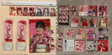 FRUITS ZIPPER 츠키아시 아마네 굿즈 세트