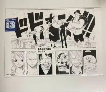 ONE PIECE BASE SHOP ALL PAGES 밀짚모자 일당