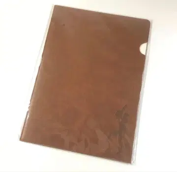 가죽 느낌 파일 바이오하자드 RE:4