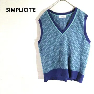 SIMPLICIT'E 캐주얼 베스트 그린과 파랑 선명한 V넥