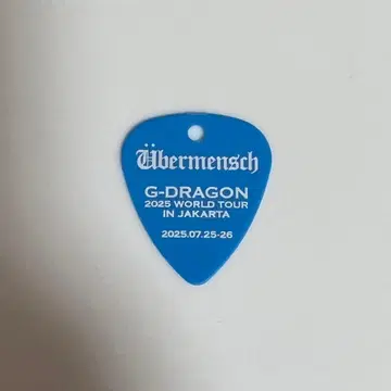 지용 GDRAGON 입장 피크