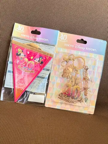 도쿄 디즈니랜드 40th Anniversary 키체인 가랜드