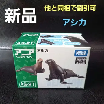 아니아 물개 가족