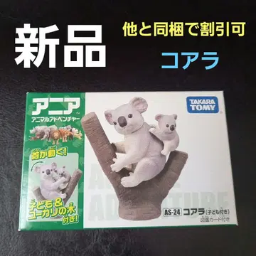 아니아 코알라 부자