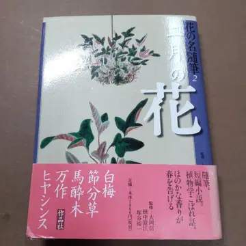 꽃 이름 수필 2 2월의 꽃 사쿠힌샤