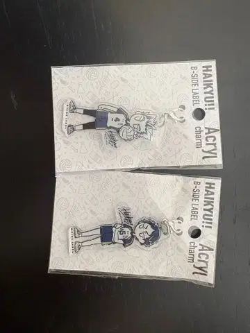 하이큐!! B-SIDE LABEL 아크릴 참