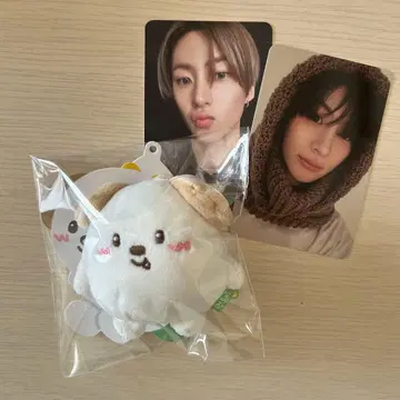 RIIZE 앤톤 미니 인형 키링 몽룡이 트레이딩 카드