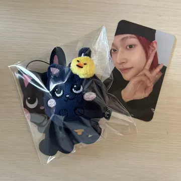 RIIZE 원빈 토냥독 미니 인형 봉제 인형 키링 트레이딩 카드