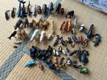 아니아 킹덤 동물 피규어 묶음 판매