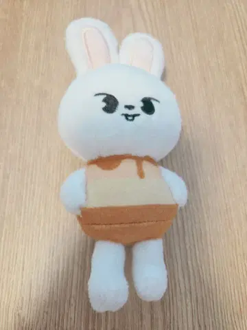 스트레이키즈 리노 리빗 푸딩 백참