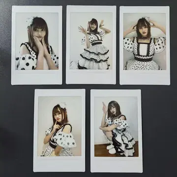 이거 사랑인가요? 코하네 마이 공존전심 드리머 폴라로이드 묶음 판매