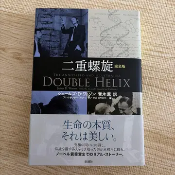 이중 나선형 완전판