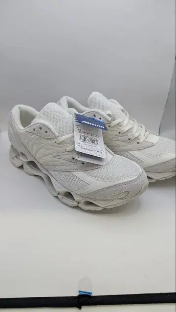 Mizuno EAVE PROPHECY 27.0 미사용품