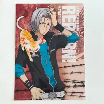 가정교사 히트맨REBORN 고쿠데라 하야토 클리어 파일