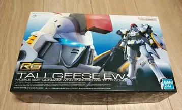 RG 1/144 톨기스 EW
