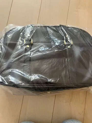 도치기현 작신학원고등학교 여자 스쿨백