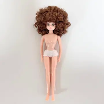 리카짱 캐슬 팔레트f 아프로 즐거운 인형 본체만