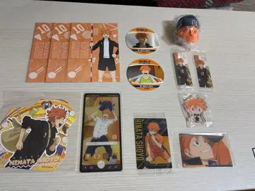 하이큐 히나타 쇼요 굿즈 묶음 판매