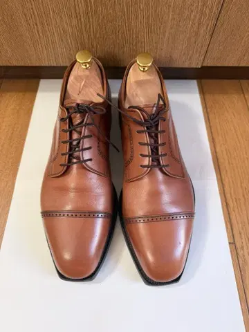 스코치 그레인 캡토 #2858 브라운