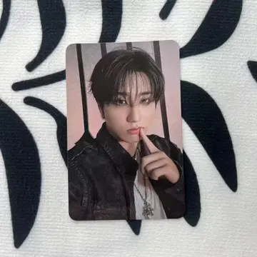 StrayKids 한 Doit SPEAKER 스피커 트레이딩 카드