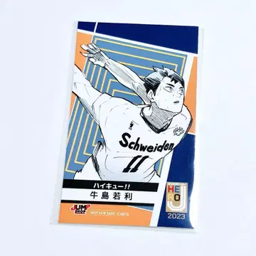 하이큐 점프샵 미니 브로마이드 우시지마 와카토시 2023