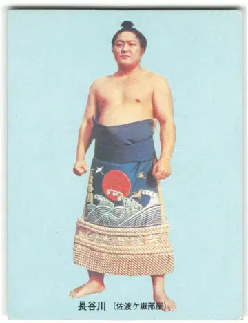 카루비 스모 하세가와 / 제1블록 / 재판매 12