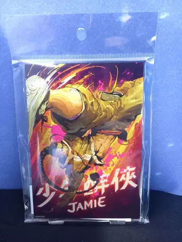 제이미 아크릴 스탠드 아크릴 스탠드 스트리트 파이터 6 스트6