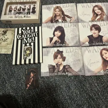 T-ARA TREASURE BOX CD DVD 트레이딩 카드 키링